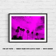 PURPLE PALMS